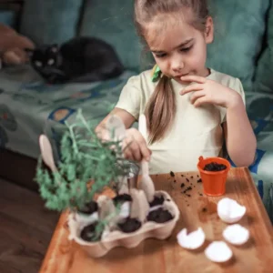 Zajęcia dla dzieci, atrakcje Bydgoszcz, Strefa-marzen